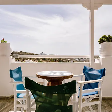 Palm Albergue